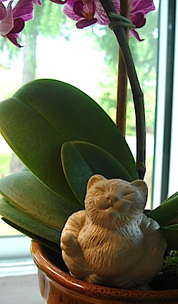 Mini Cat Buddha